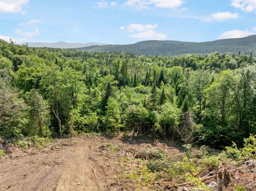 NEW PARCEL AVAILABLE! This beautiful property features a newly - photo 14