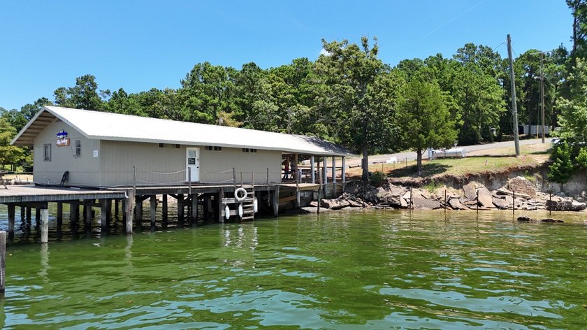 Located on the beautiful Toledo Bend, this established - photo 32