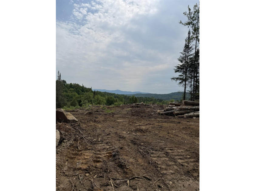 NEW PARCEL AVAILABLE! This beautiful property features a newly - photo 38