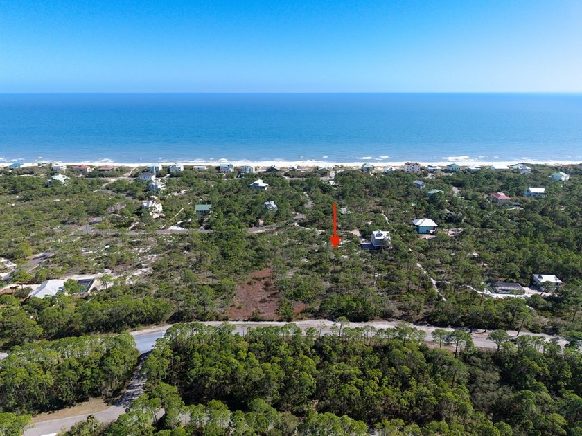 Excellent opportunity to purchase this acre Lot in a peaceful - photo 11