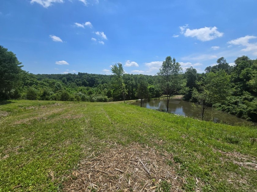 Beautiful 2.58-acre property featuring a peaceful .2-acre pond - photo 11