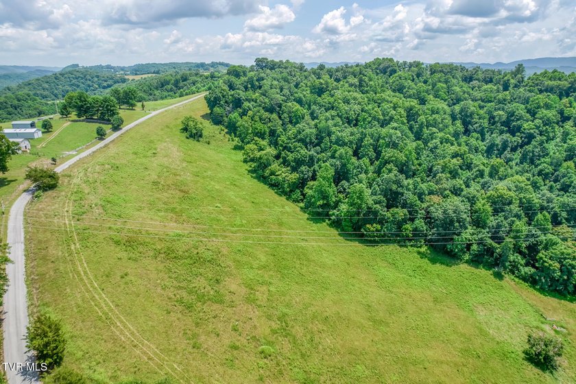 Enjoy 32+/- acres of open pasture and wooded land with - photo 11