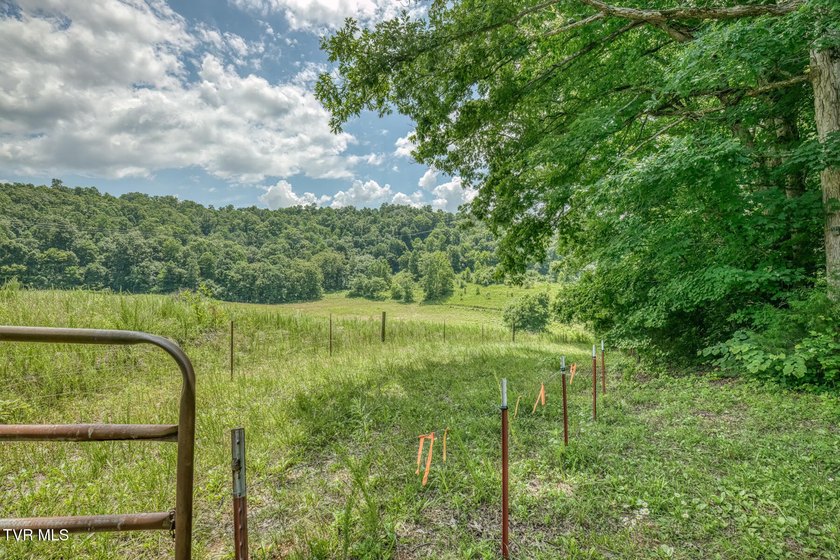 Enjoy 32+/- acres of open pasture and wooded land with - photo 18
