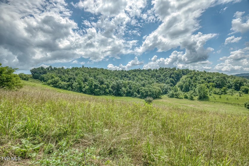 Enjoy 32+/- acres of open pasture and wooded land with - photo 20