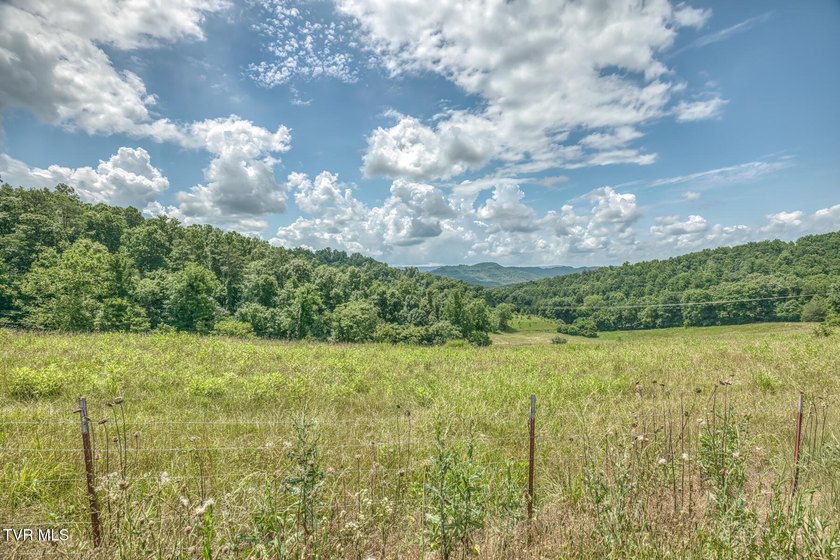 Enjoy 32+/- acres of open pasture and wooded land with - photo 22
