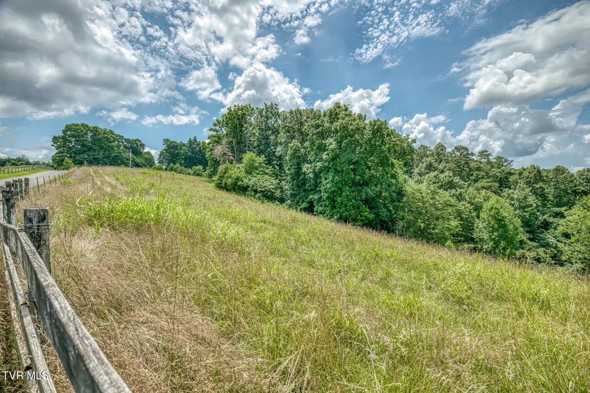 Enjoy 32+/- acres of open pasture and wooded land with - photo 23