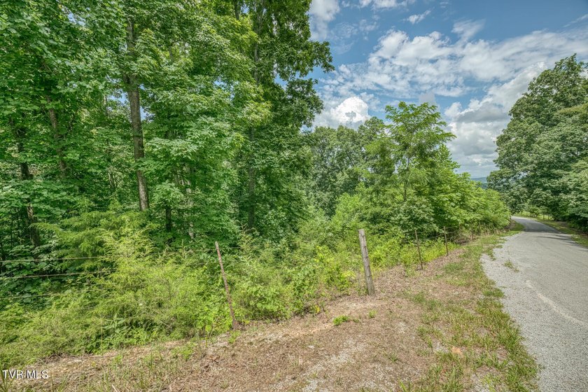 Enjoy 32+/- acres of open pasture and wooded land with - photo 30