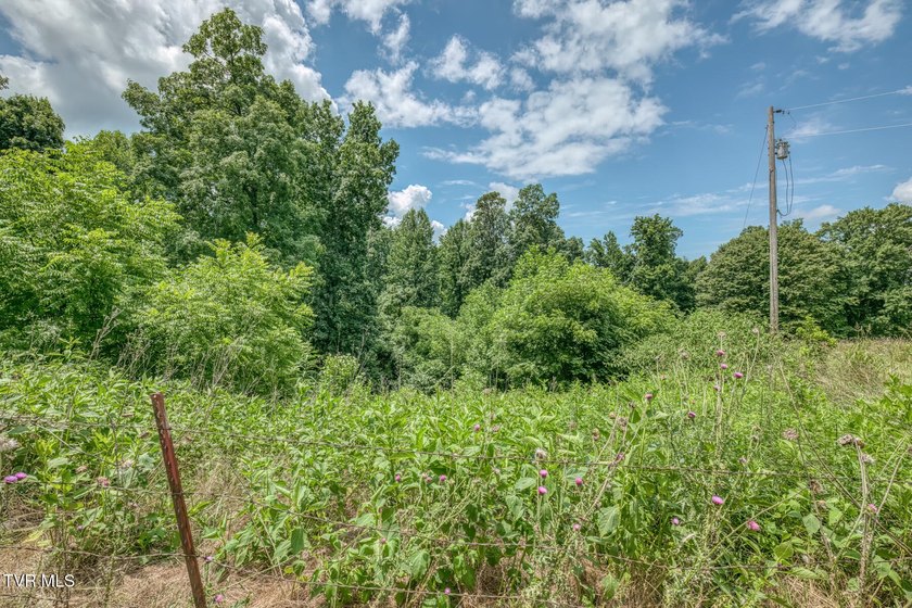Enjoy 32+/- acres of open pasture and wooded land with - photo 31