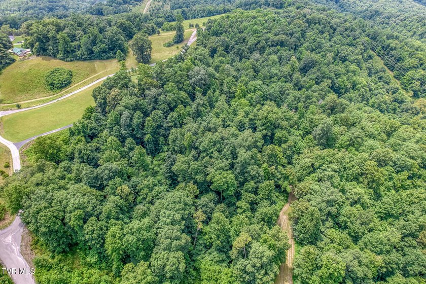 Enjoy 32+/- acres of open pasture and wooded land with - photo 33