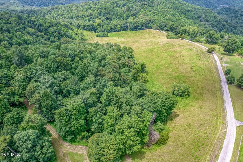 Enjoy 32+/- acres of open pasture and wooded land with - photo 34
