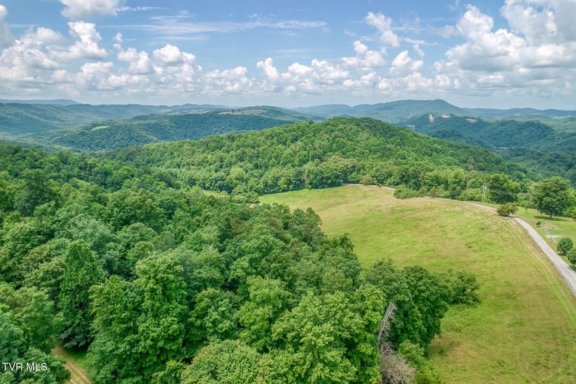 Enjoy 32+/- acres of open pasture and wooded land with - photo 36