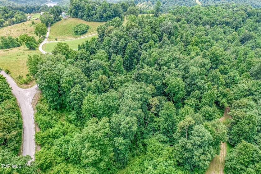 Enjoy 32+/- acres of open pasture and wooded land with - photo 42