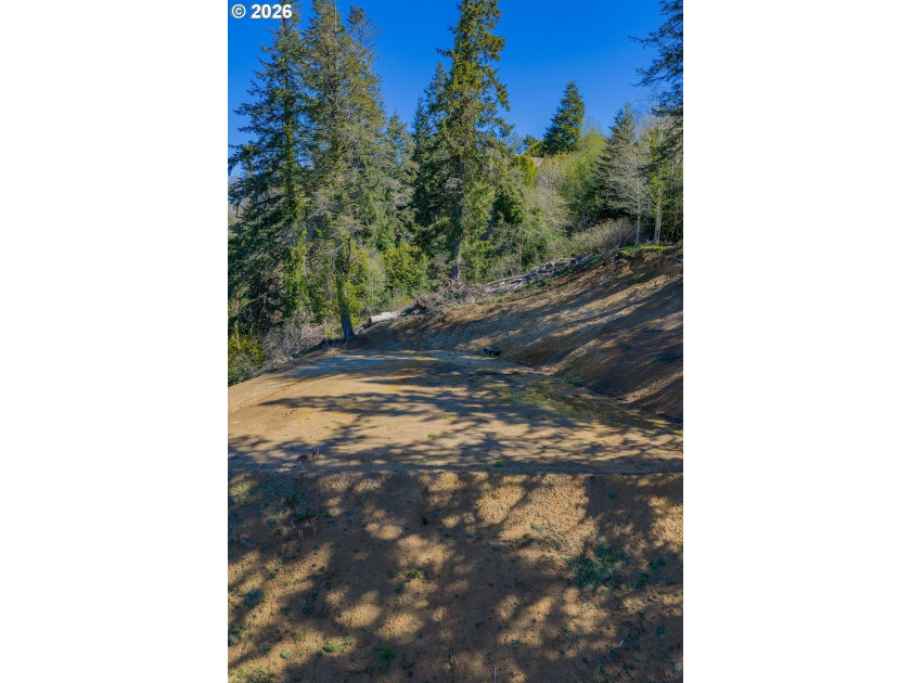 Awesome 1.55-acre buildable property in Coos Bay! Significant - photo 3