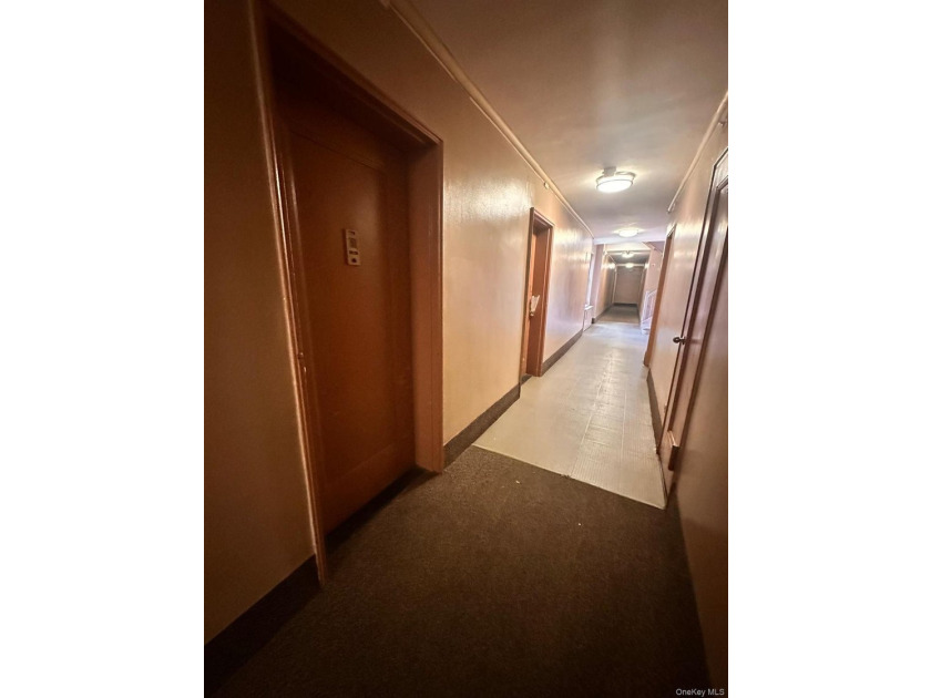 1-bedroom apartment located in Flushing - photo 13