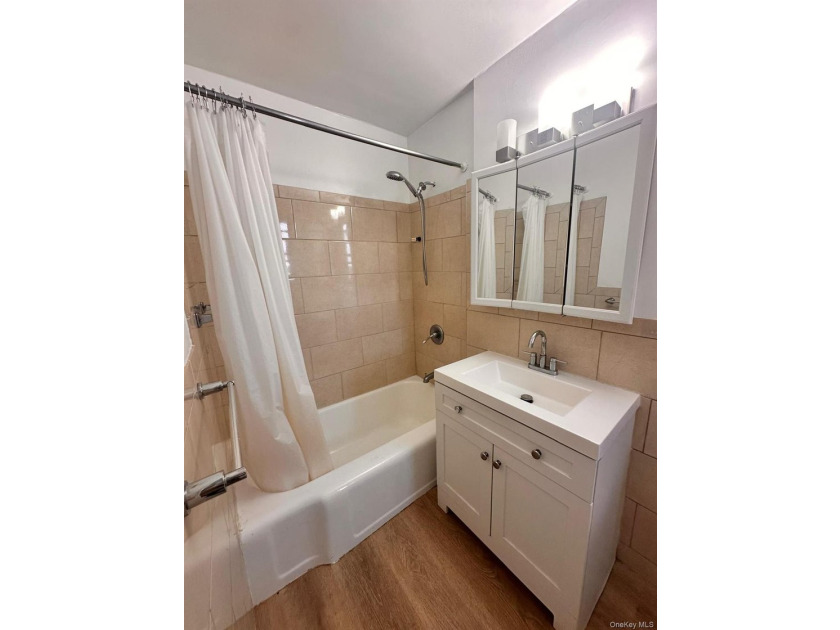 1-bedroom apartment located in Flushing - photo 18