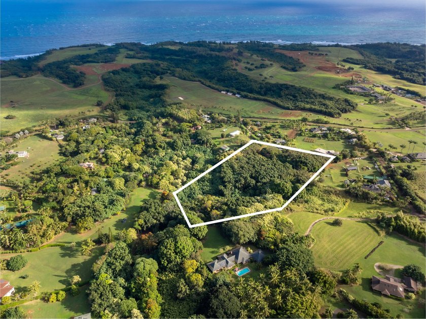 New 5 acre CPR! Close to Beach. Enjoy the lush, tropical - photo 22
