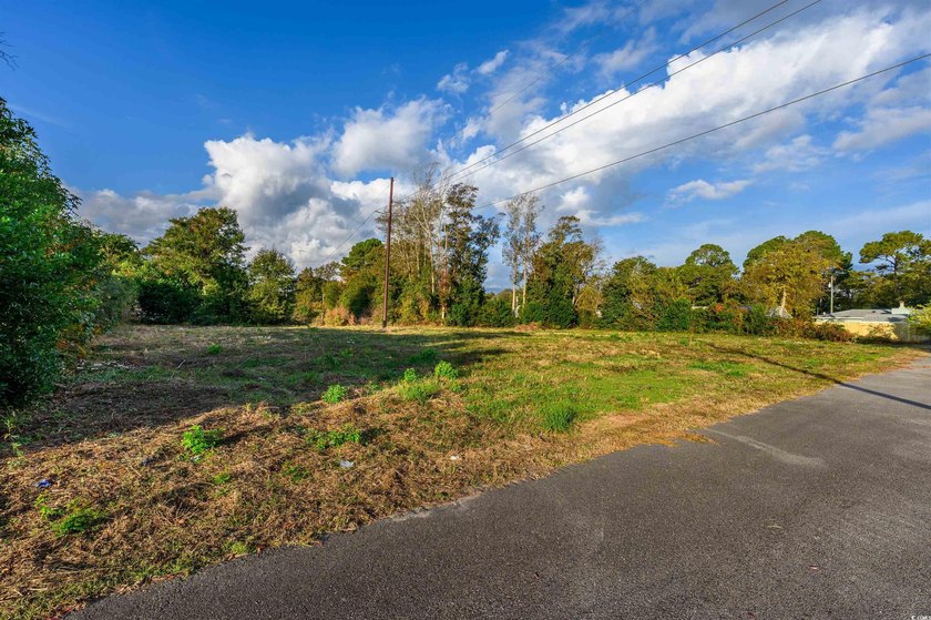 Check out this land available in Atlantic Beach - just a few - photo 15