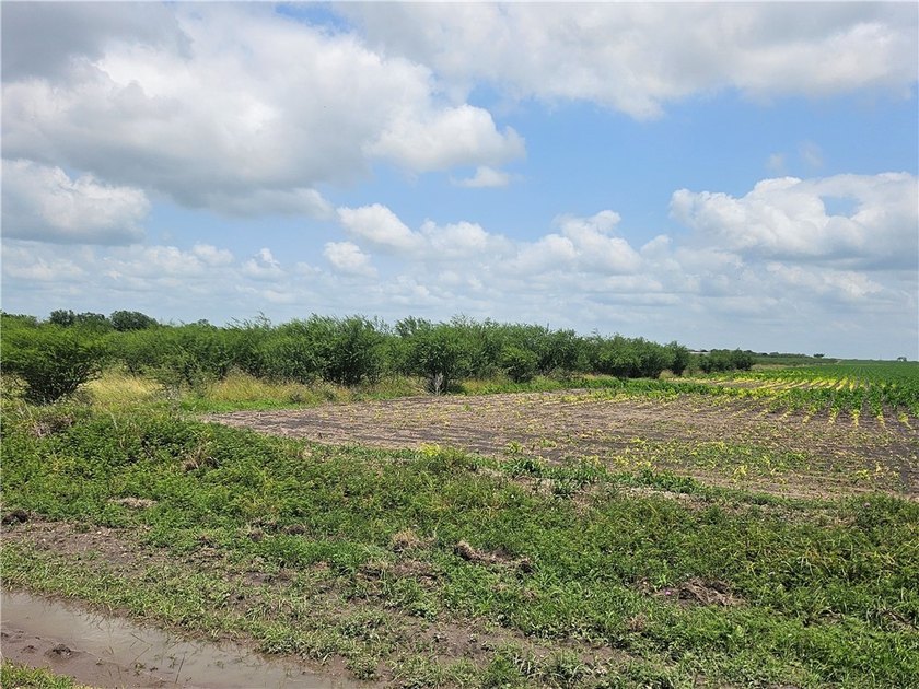 Discover the potential of this beautiful 22.86-acre tract - photo 5