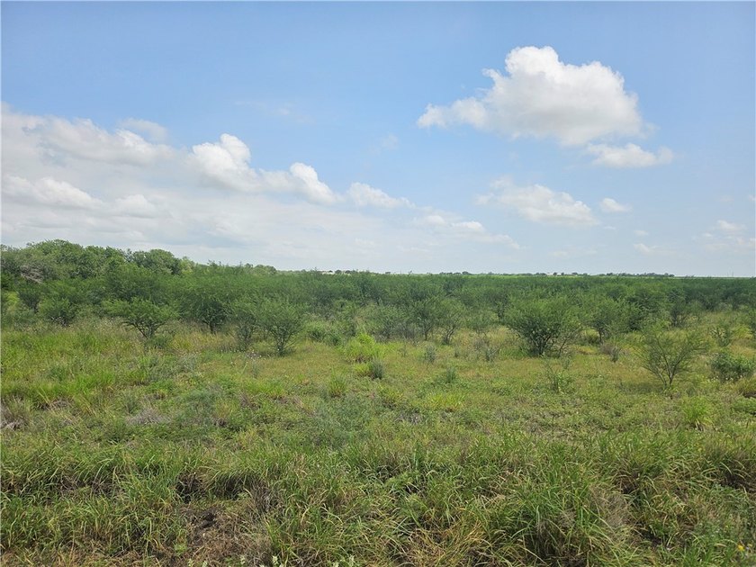 Discover the potential of this beautiful 22.86-acre tract - photo 6