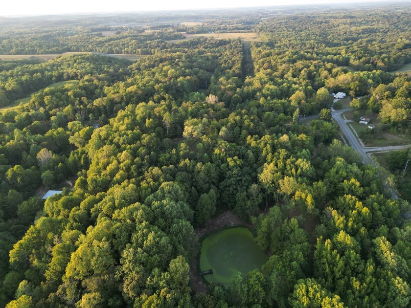 Land is ready for your future home or getaway! This conveniently - photo 2