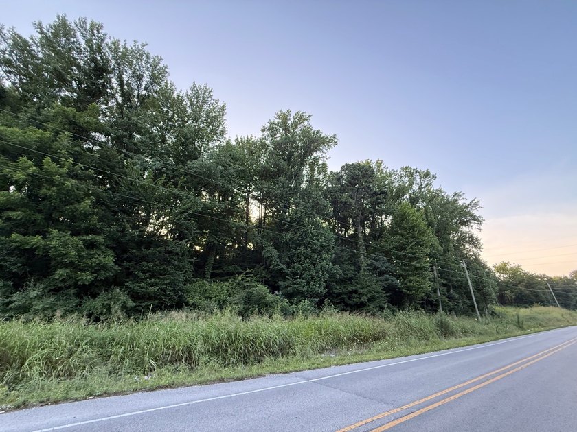 Land is ready for your future home or getaway! This conveniently - photo 4