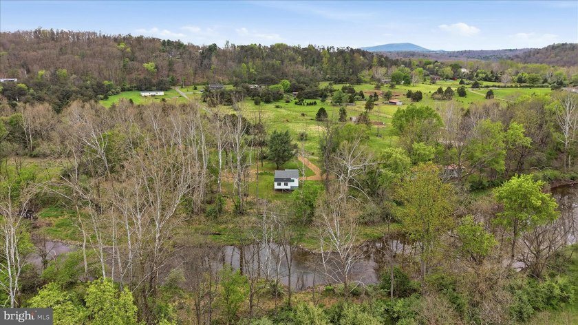 NEW PRICE ON THREE RIVERFRONT ACRES! Get away from it all only - photo 36