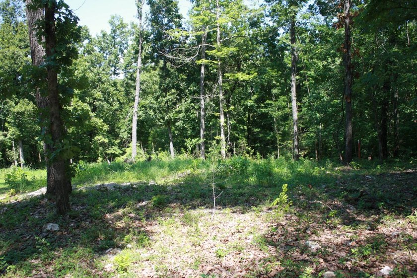 **TWO LOTS Midway, AR - Perfect for Your Dream Home!** Just a - photo 6