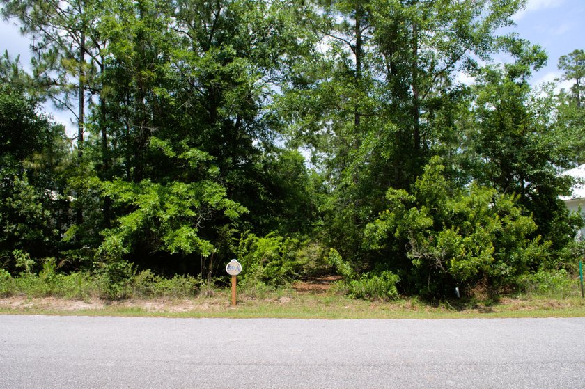 Come build your dream home in the thriving Freeport community of - photo 2