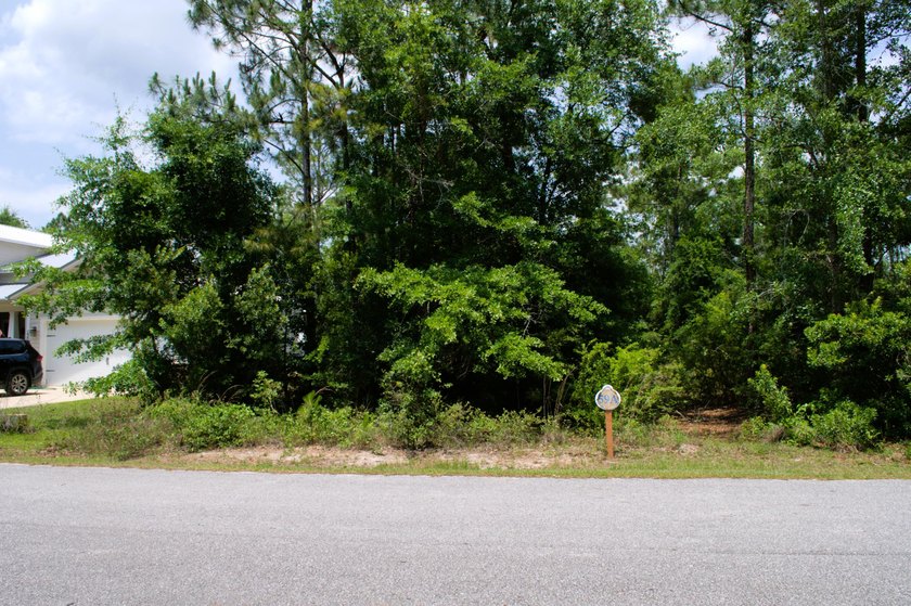 Come build your dream home in the thriving Freeport community of - photo 3
