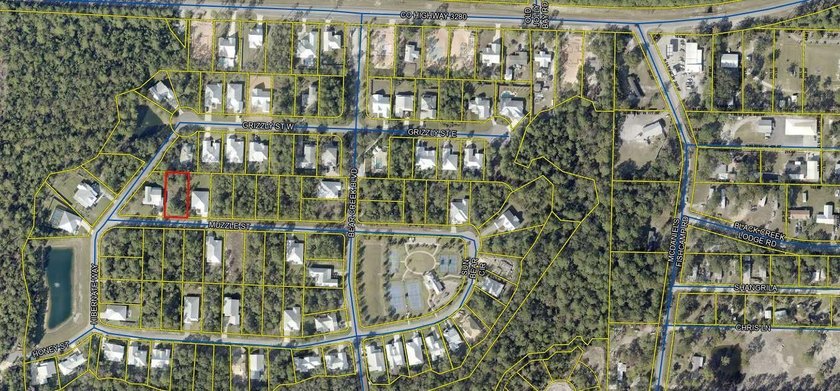 Come build your dream home in the thriving Freeport community of - photo 5