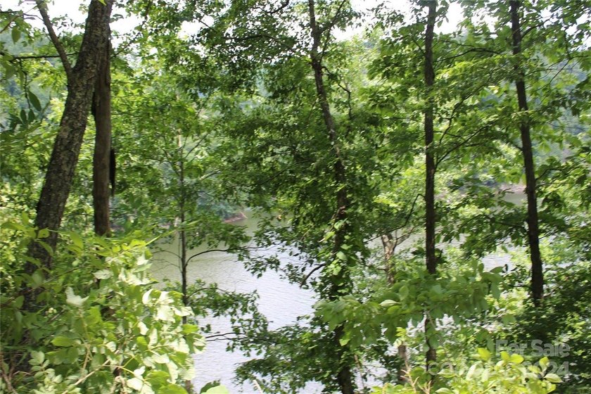 Welcome to your dream property! Nestled along the pristine - photo 19