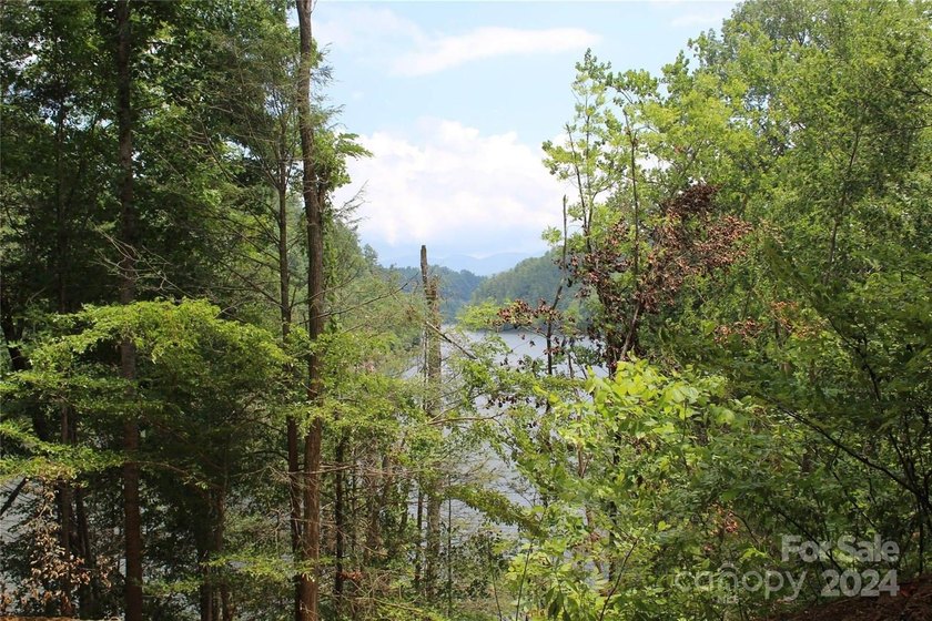 Welcome to your dream property! Nestled along the pristine - photo 22
