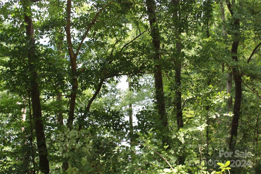 Welcome to your dream property! Nestled along the pristine - photo 23