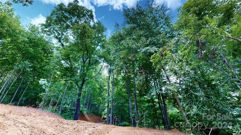 Welcome to your dream property! Nestled along the pristine - photo 29