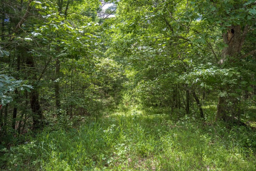 Whether you're looking to hunt, fish, relax, or simply escape - photo 11