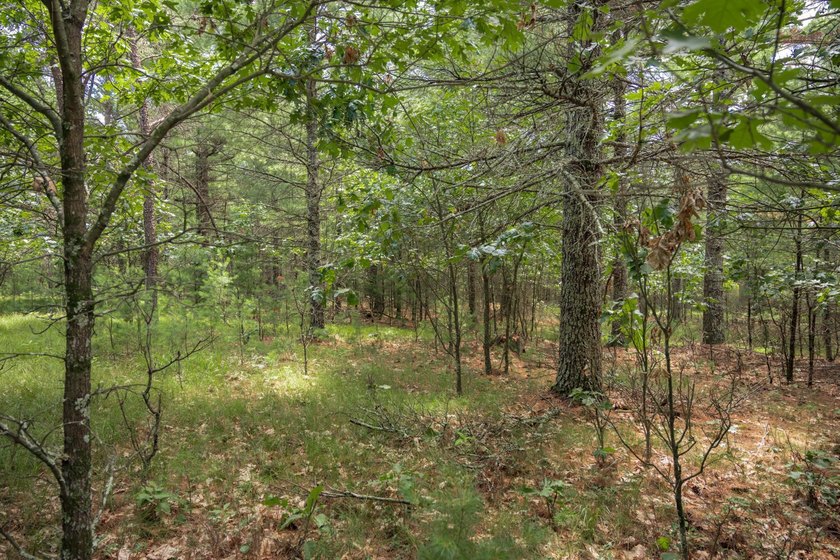 Whether you're looking to hunt, fish, relax, or simply escape - photo 12
