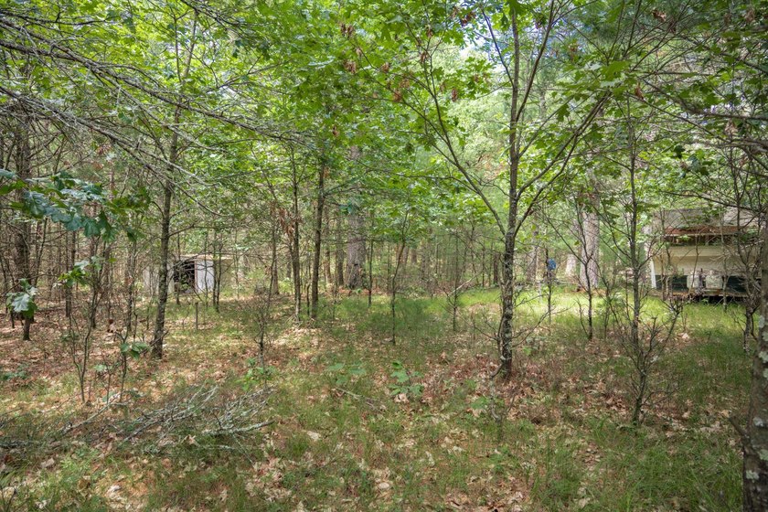 Whether you're looking to hunt, fish, relax, or simply escape - photo 13
