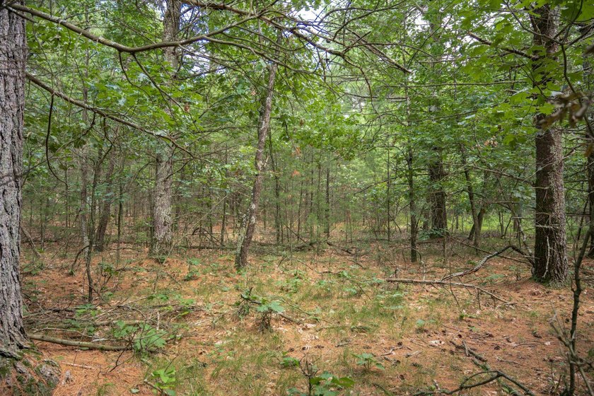 Whether you're looking to hunt, fish, relax, or simply escape - photo 15