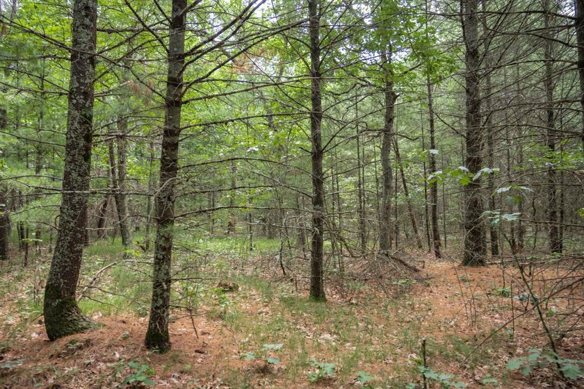 Whether you're looking to hunt, fish, relax, or simply escape - photo 16