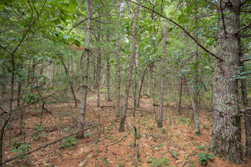 Whether you're looking to hunt, fish, relax, or simply escape - photo 17