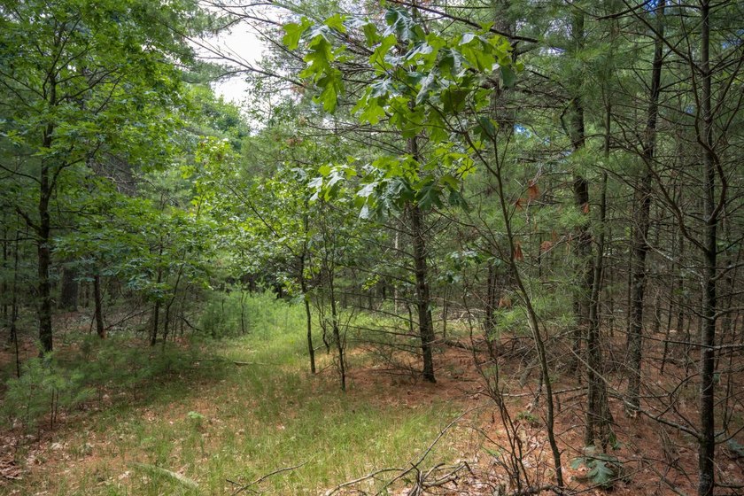 Whether you're looking to hunt, fish, relax, or simply escape - photo 19
