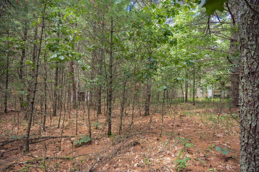 Whether you're looking to hunt, fish, relax, or simply escape - photo 20