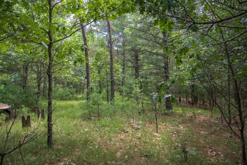 Whether you're looking to hunt, fish, relax, or simply escape - photo 21