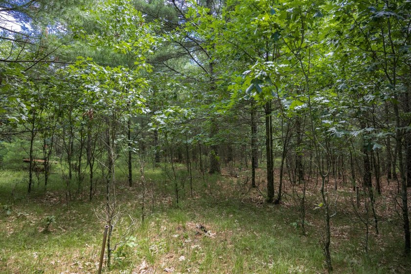 Whether you're looking to hunt, fish, relax, or simply escape - photo 22