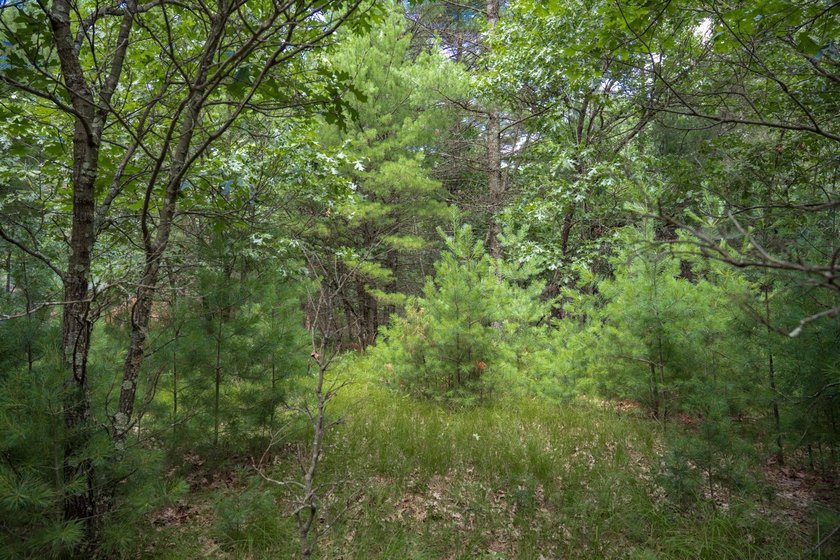 Whether you're looking to hunt, fish, relax, or simply escape - photo 23