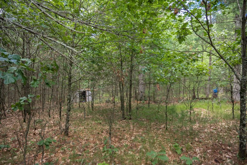 Whether you're looking to hunt, fish, relax, or simply escape - photo 24