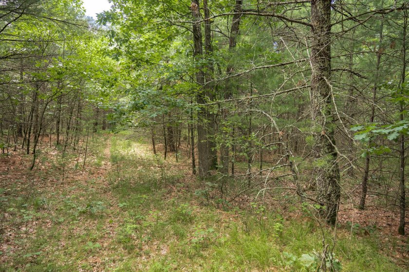 Whether you're looking to hunt, fish, relax, or simply escape - photo 26