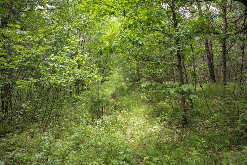 Whether you're looking to hunt, fish, relax, or simply escape - photo 27