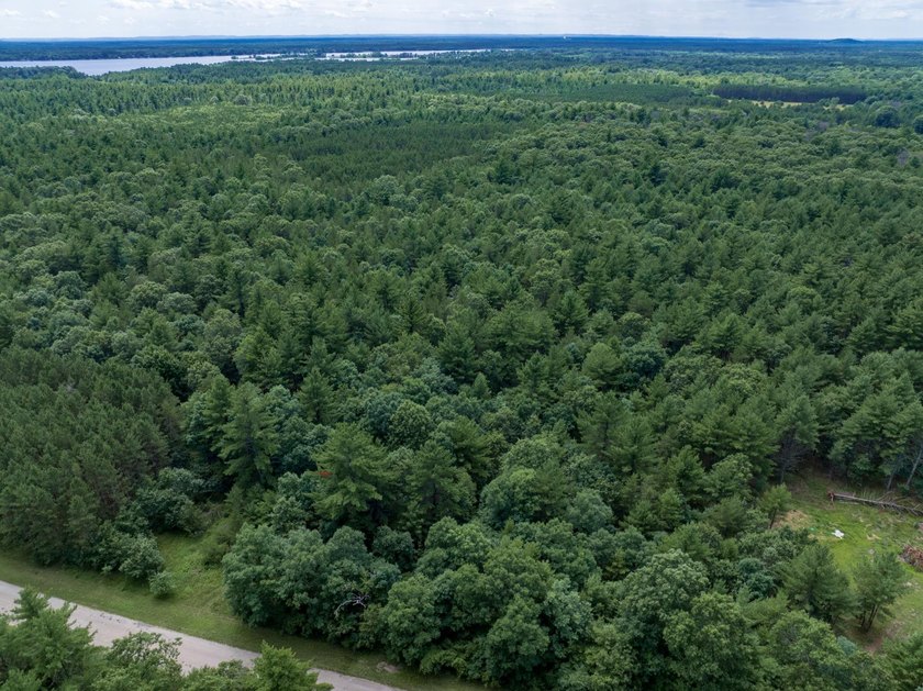 Whether you're looking to hunt, fish, relax, or simply escape - photo 32