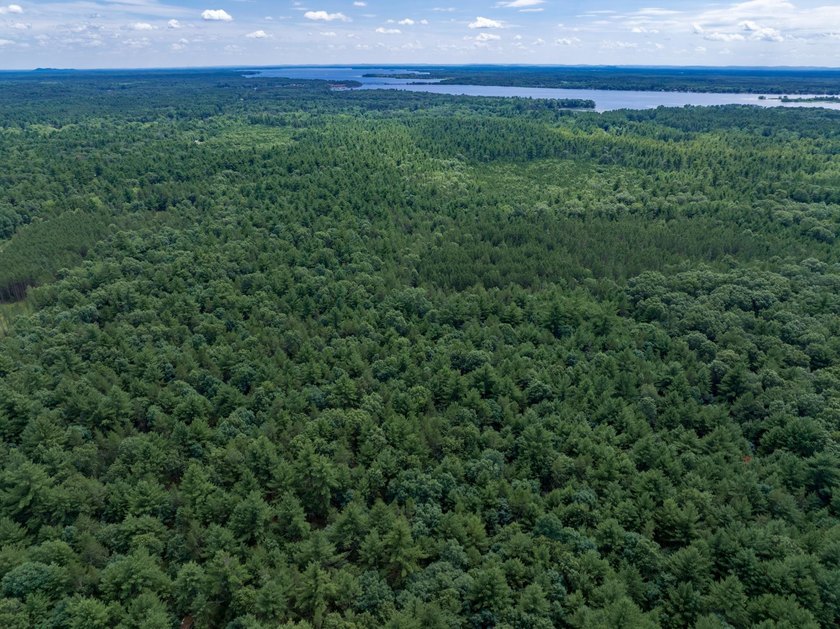 Whether you're looking to hunt, fish, relax, or simply escape - photo 35